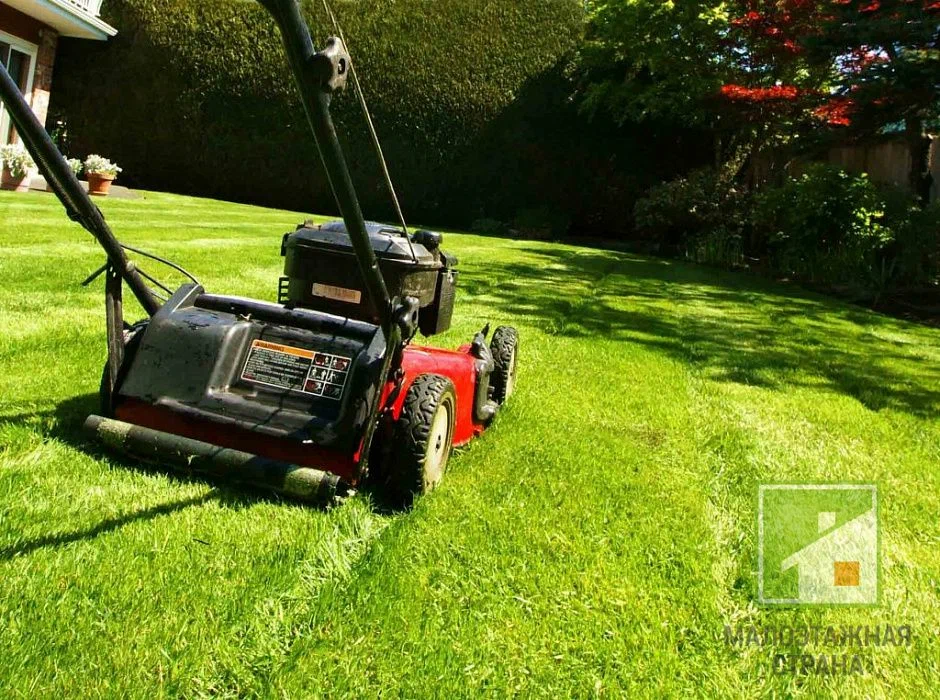 diploma 3 Lawn & Garden Scrubz Bond Cleaning